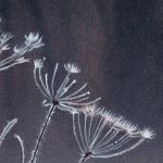 Detail Image - Seedheads - art by Geoff Taylor